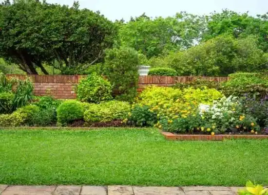 landscaping services Amboy